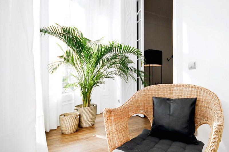 Andes Appartement Málaga