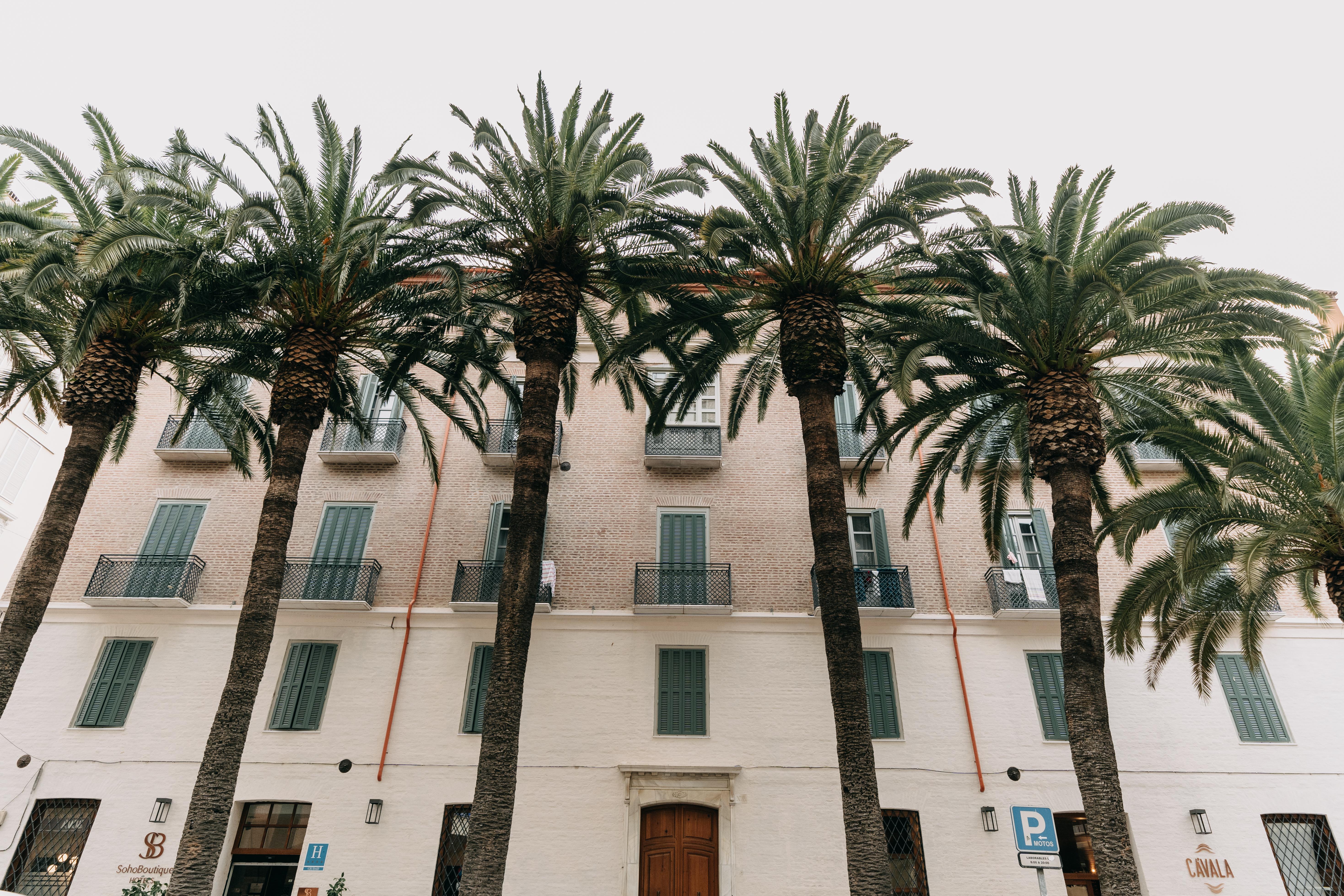 Hotel Soho Boutique Colon Málaga