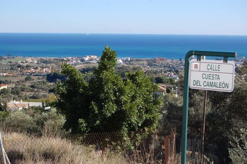 Carpe Diem De * Málaga