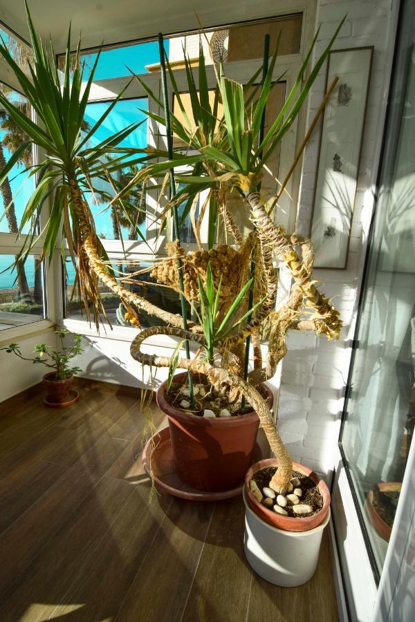 P&p Paseo Maritimo Pablo Ruiz Picasso Appartement