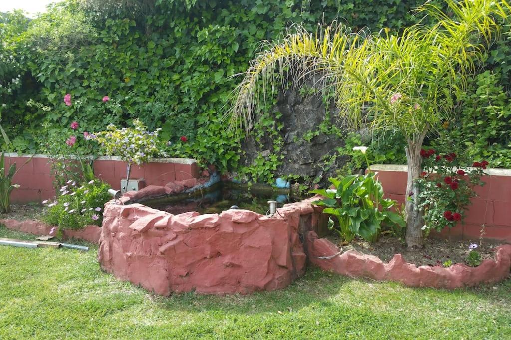 Chaleter Casa Guajar *
