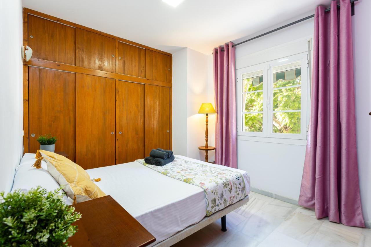 Holidays2malaga Montesa 700m From The Rooftop Terrace Appartement *