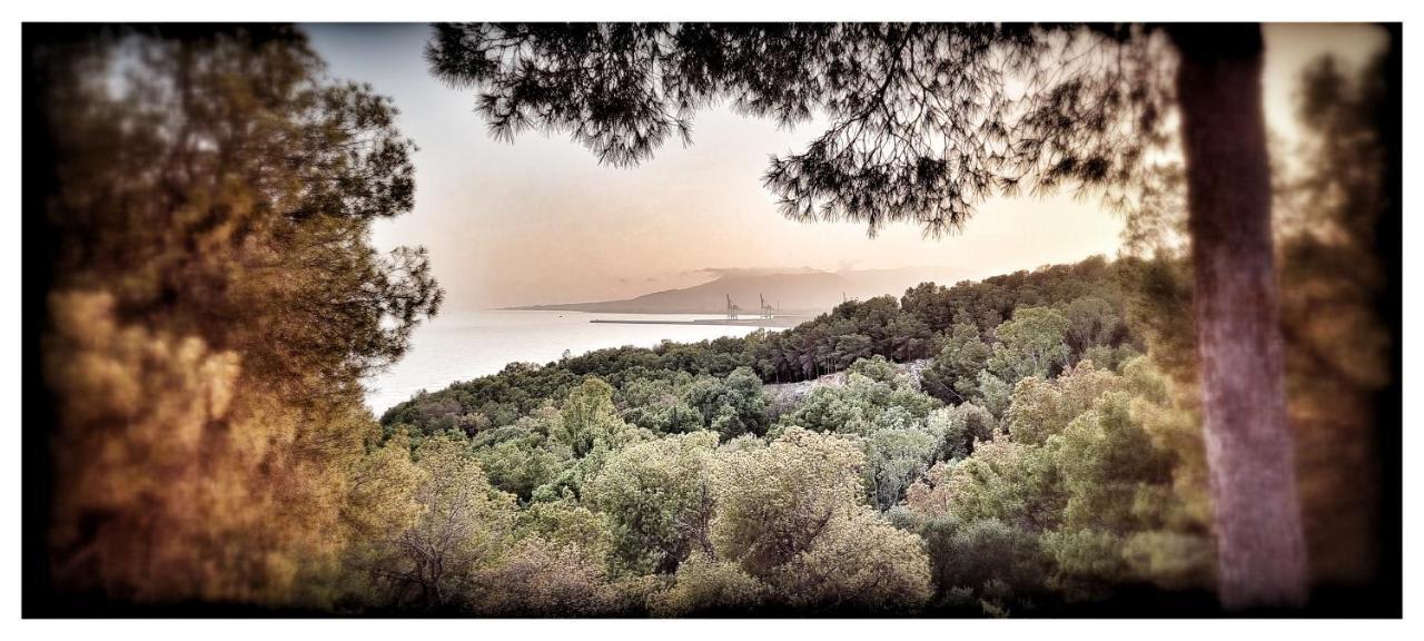 Gleaming & Well Located In Center Appartement