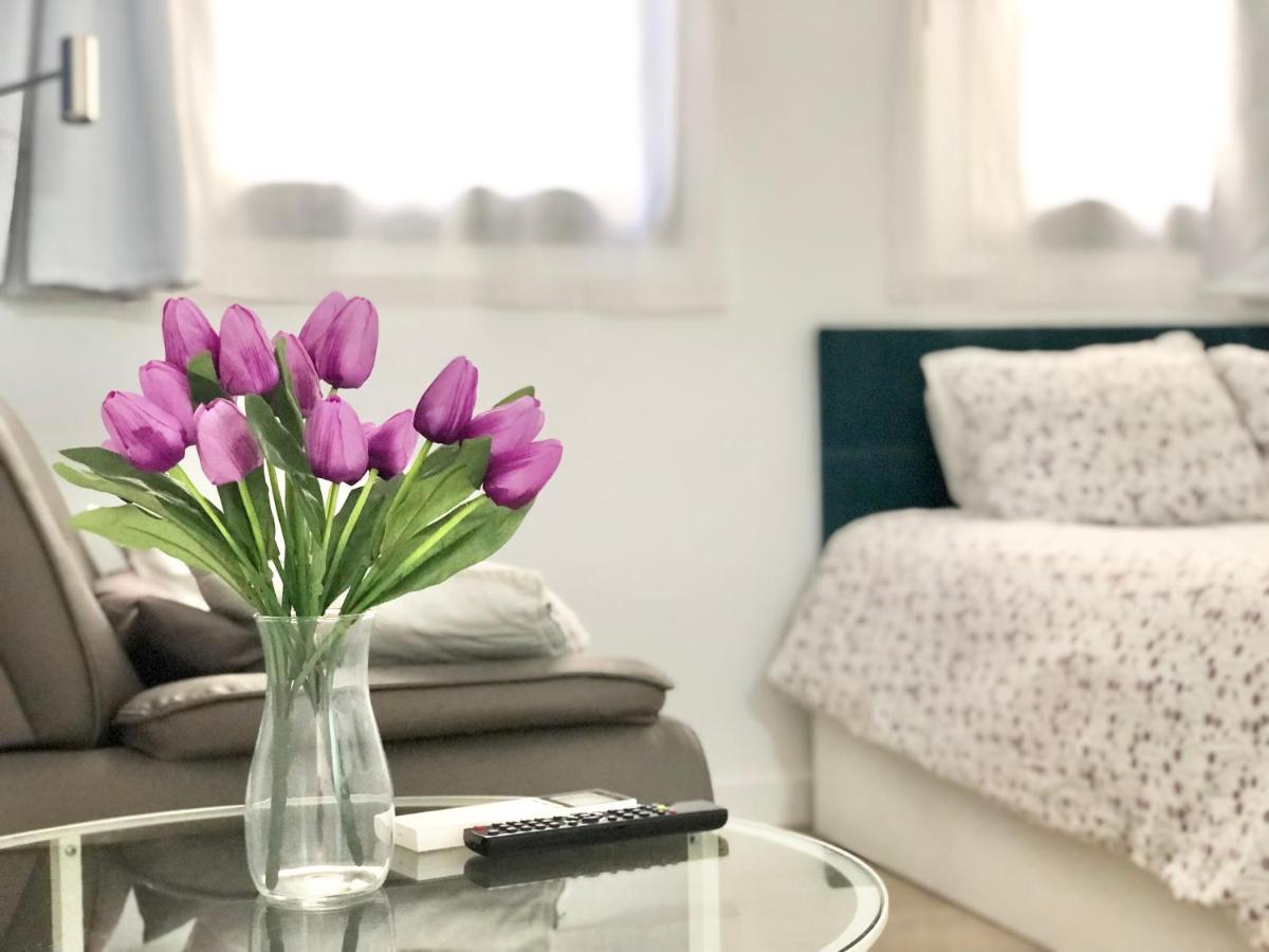 Apartamento Centro Picacho *