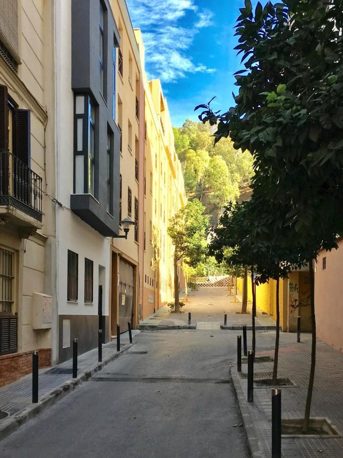Centro Picacho *