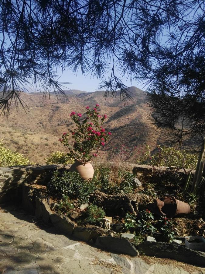Pinar El Almendra Casa de férias
