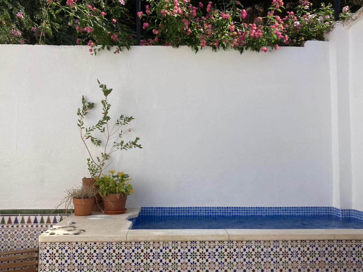 Casa Clemente 32, Private House With Plunge Pool *