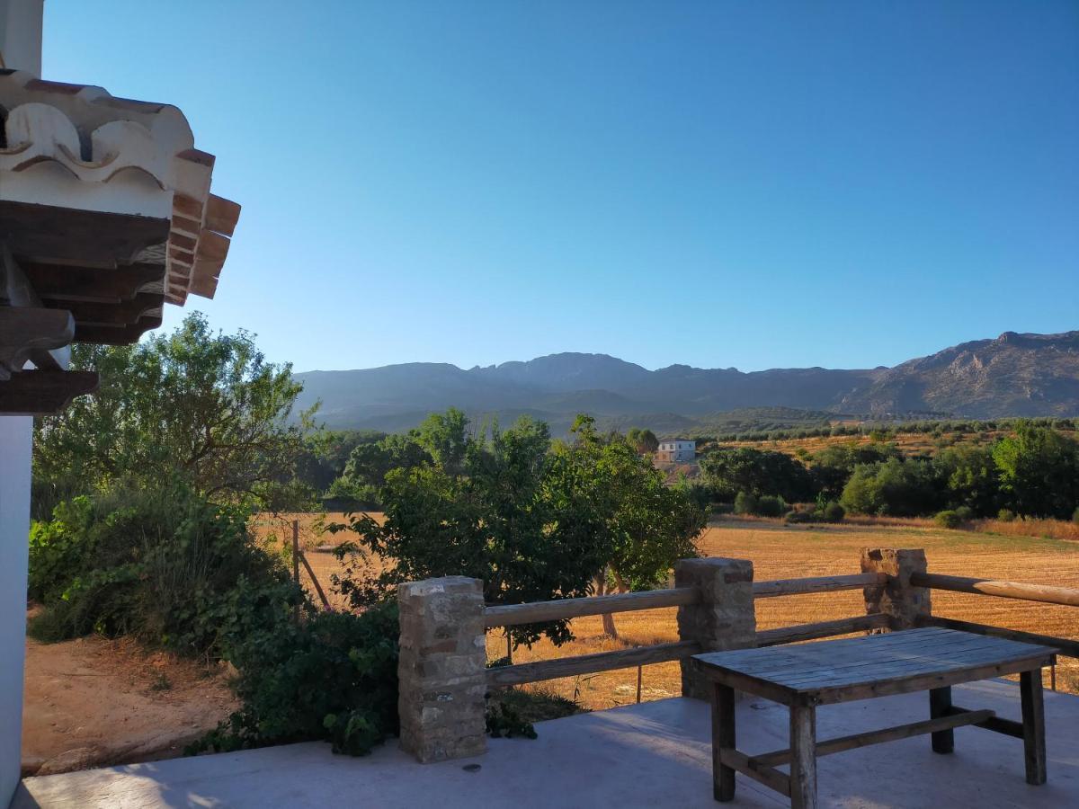 La Casa De La Huerta Stylish Family In Countryside Málaga