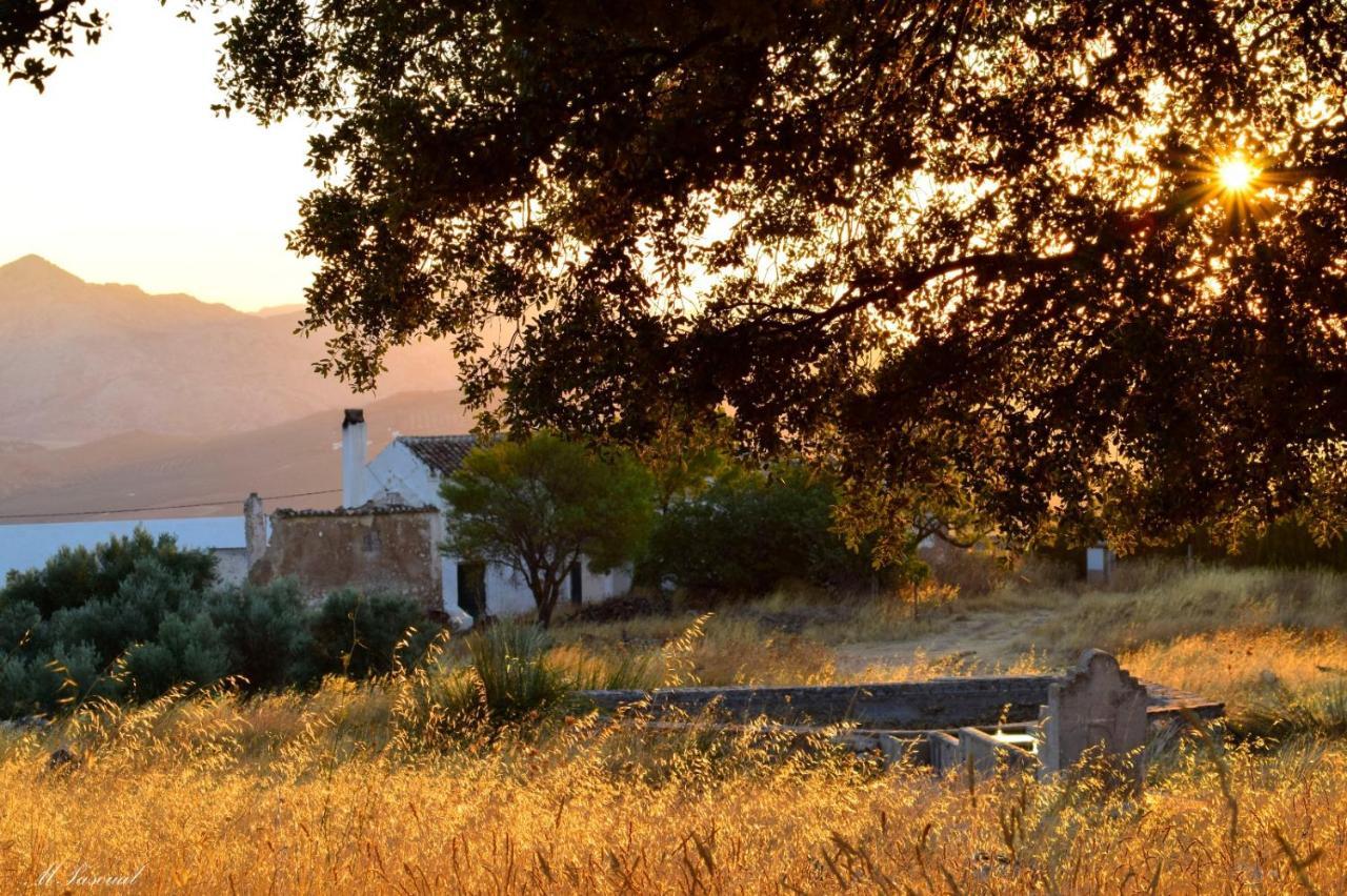 La Casa De La Huerta Stylish Family In Countryside *