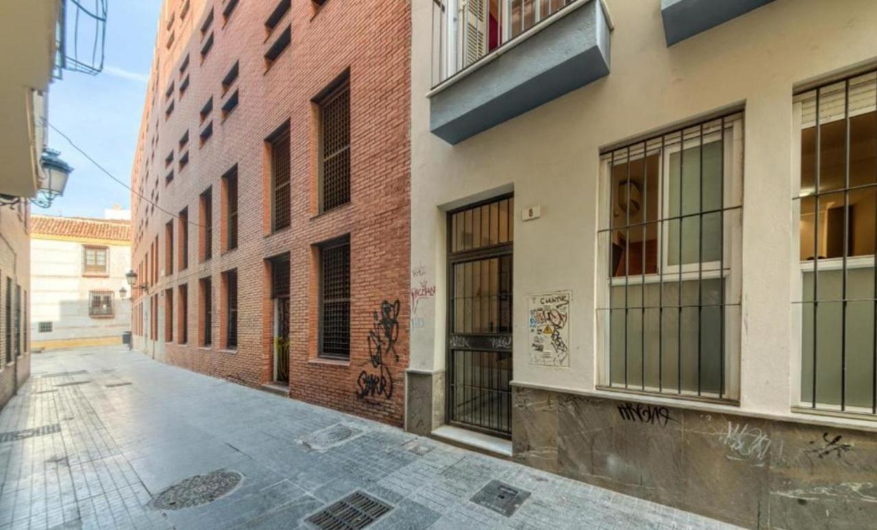 Novam Málaga