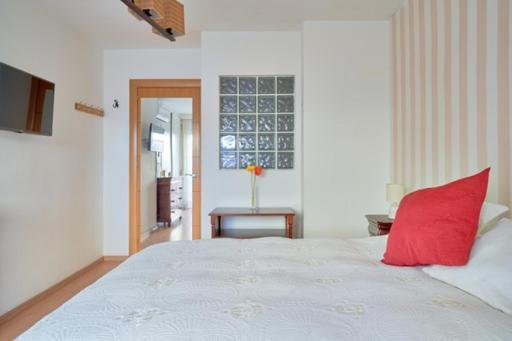 Malagueta Apartment