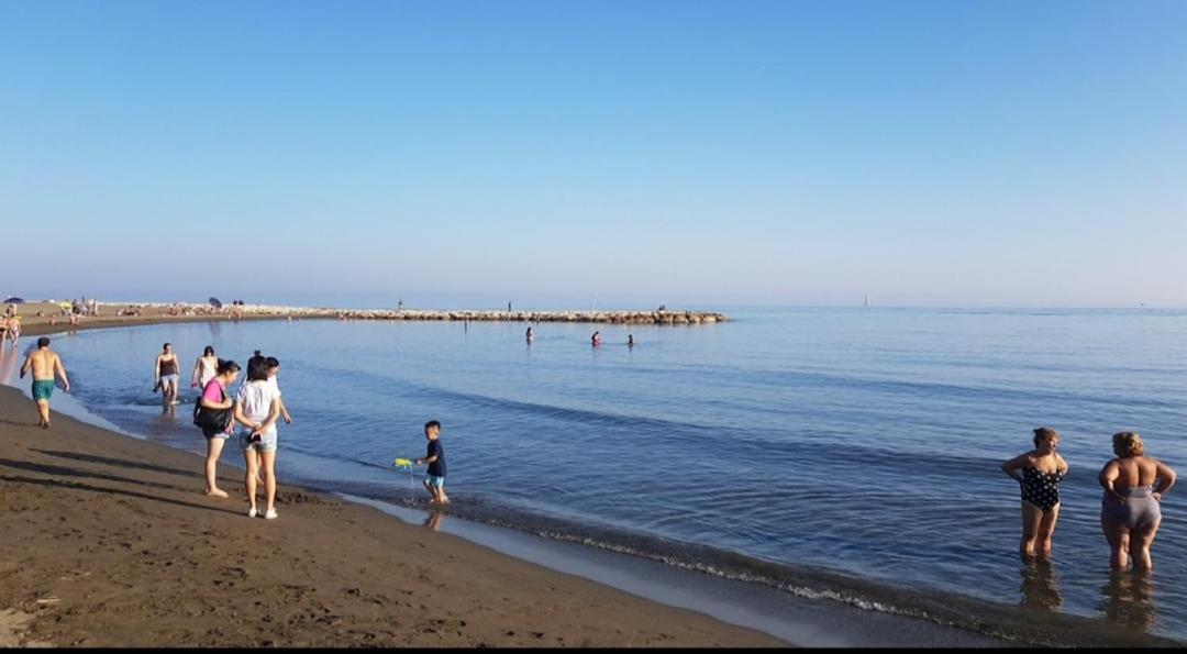 El Bambu Cerca Del Mar