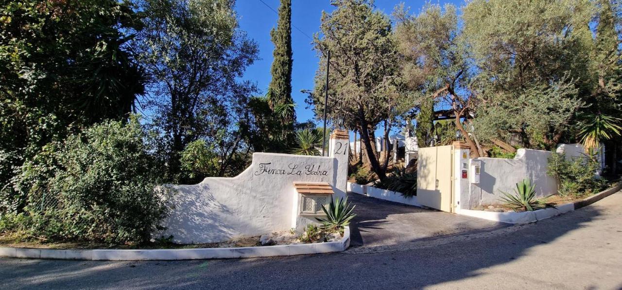 La Yedra In La Alqueria Hébergement de vacances Málaga