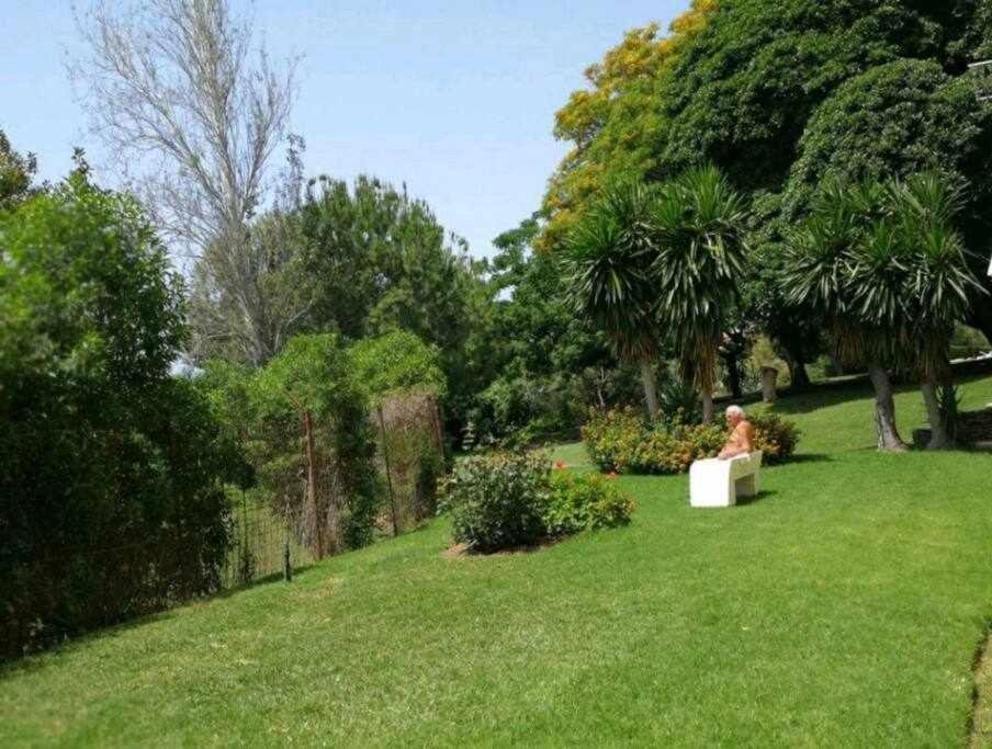 Appartement Golden Aguila 215 *
