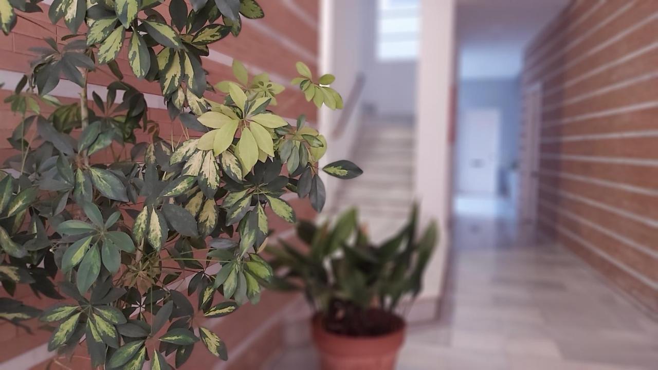 Apartment Del Parque Flats Catedral Exclusive