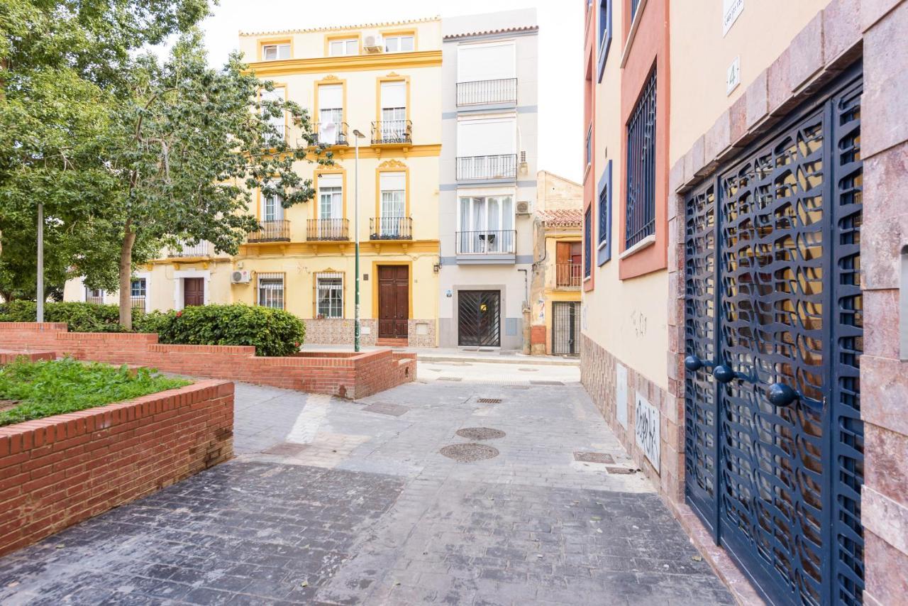 U-nique Lagunillas Appartement