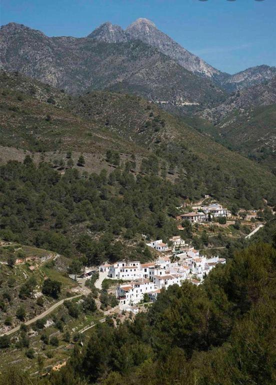 Appartement Estudio Rural El Acebuchal *
