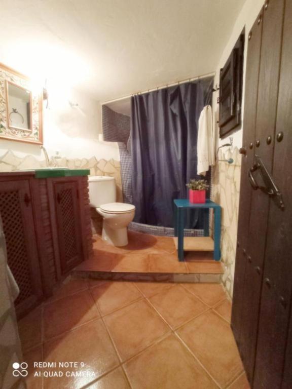 Estudio Rural El Acebuchal Málaga