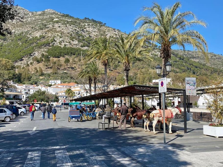 Higueronrentals Mikero Apartamento Málaga