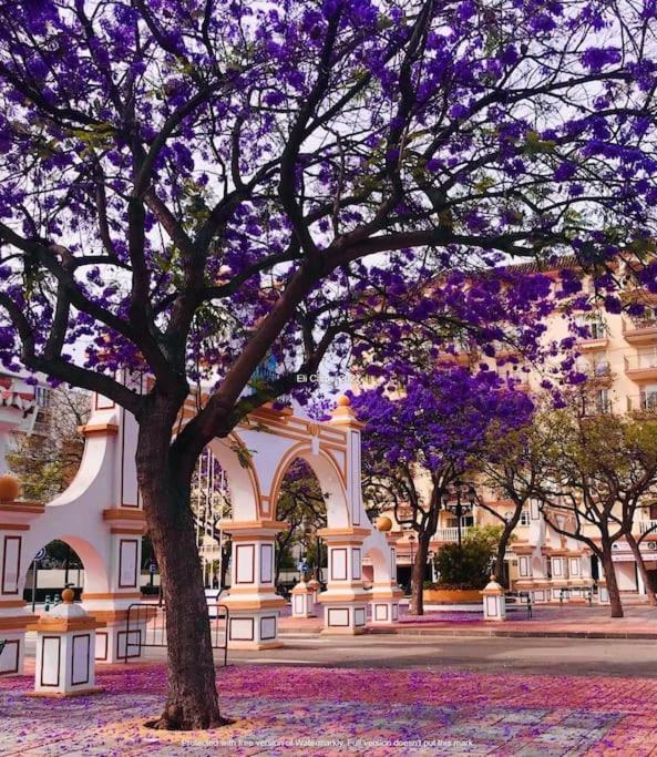 Higueronrentals Mikero Málaga