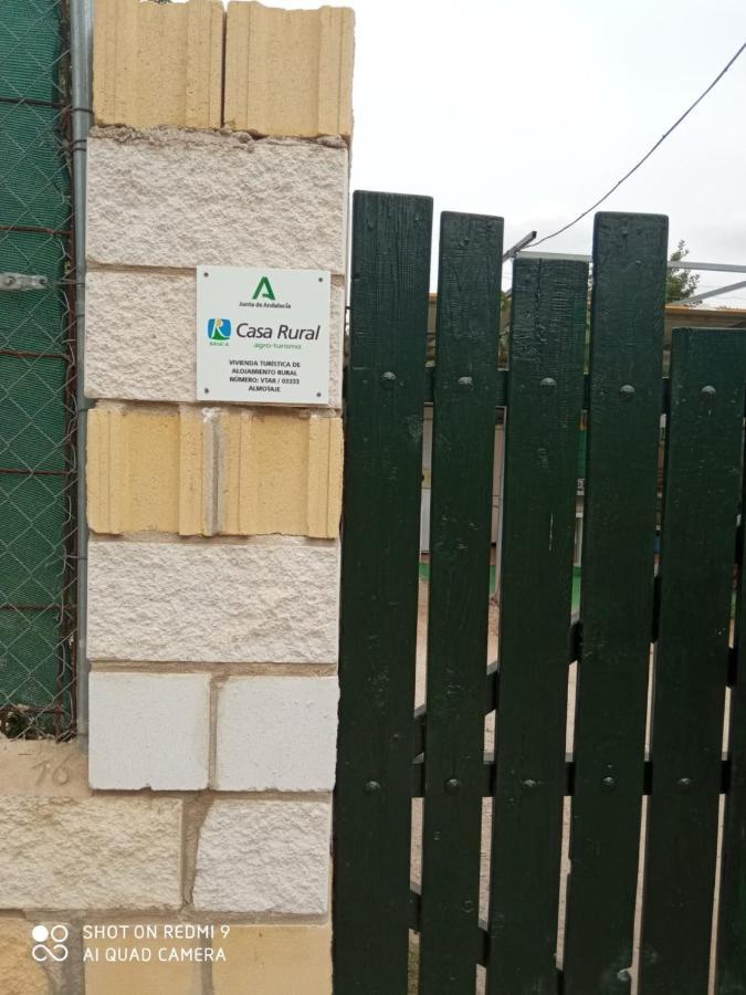 Almotaje, Numero 3