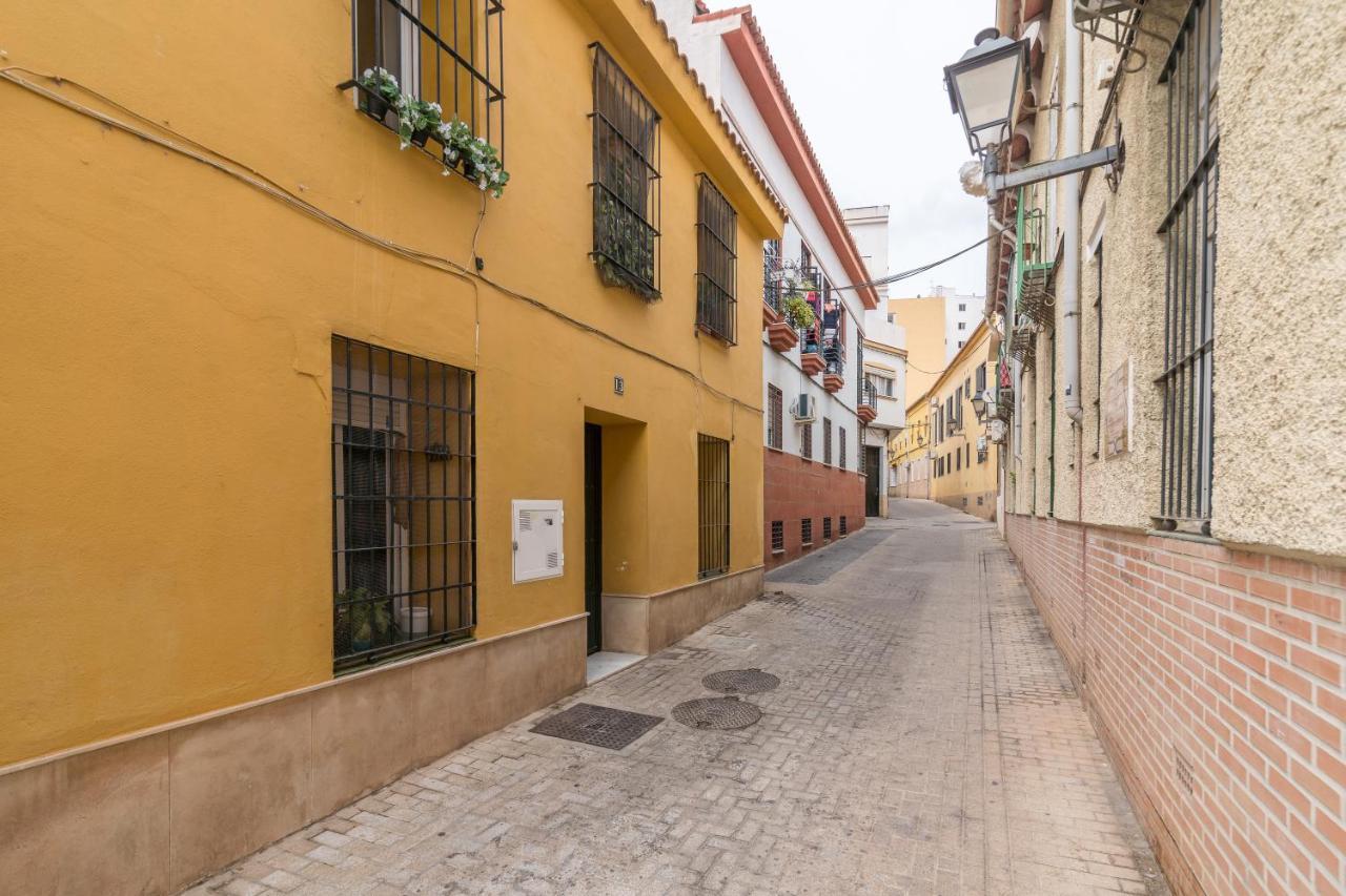 Precioso Con Separada En Centro Historico De Appartamento *
