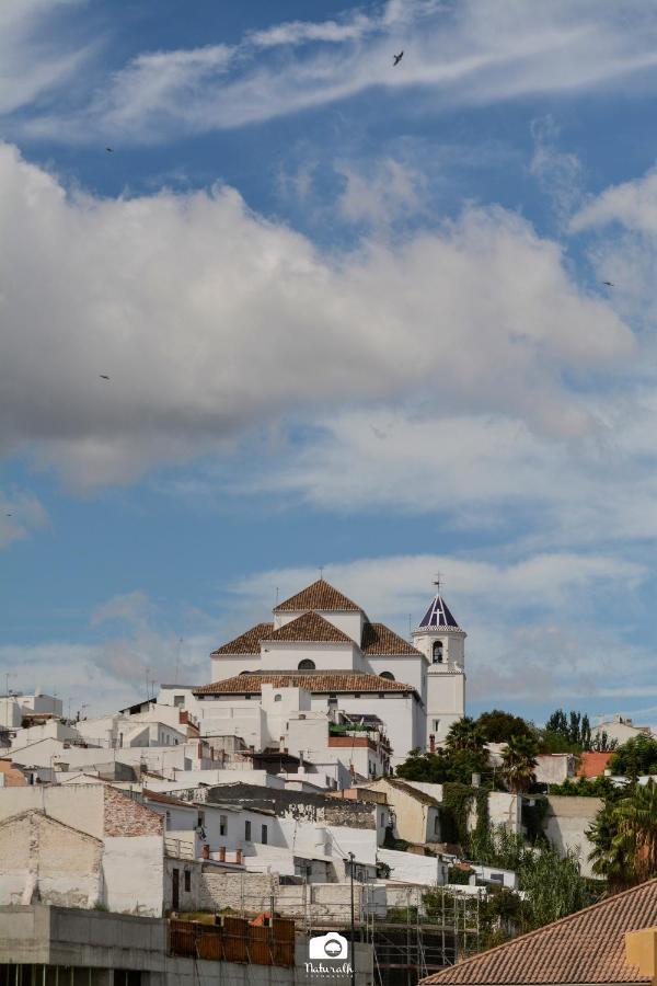 Tottam Art & Healthy Garden Alojamento de Turismo Selvagem *