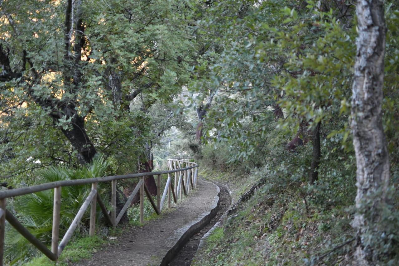 Tottam Art & Healthy Garden Alojamento de Turismo Selvagem Málaga
