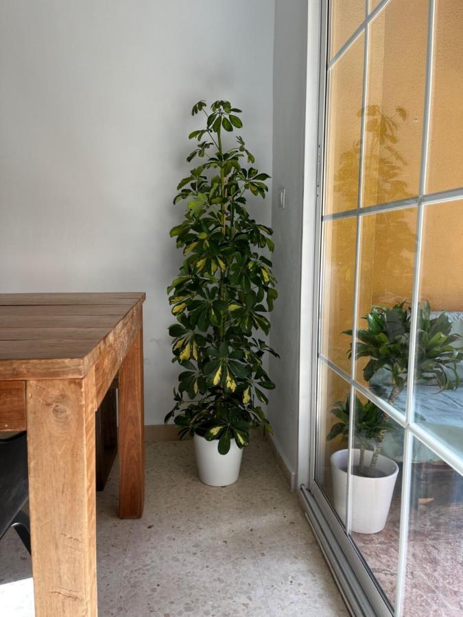 La Biznaga Apartamento Málaga