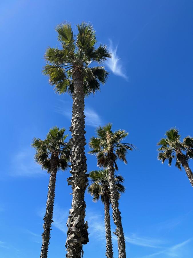 Apartamento La Biznaga Málaga