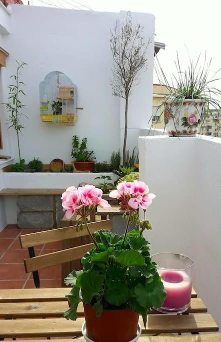Lägenhet Penthouse Terrace *