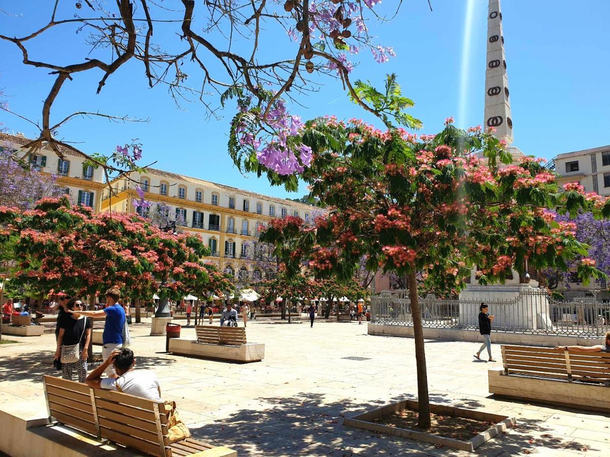 Sunny Malaga Centre Flats, 2 Options, With Balcony Or Terrace Apartment *