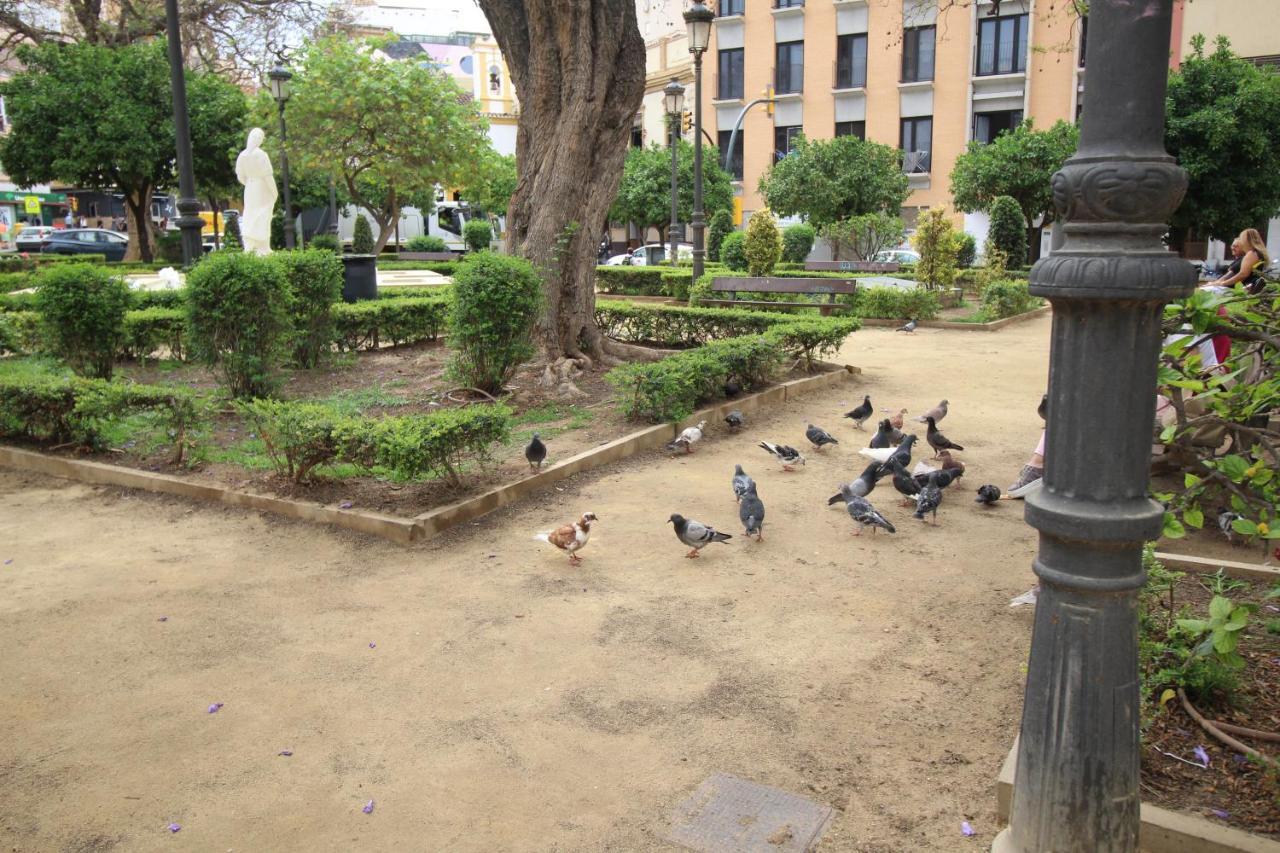 Apartamento Del Parque Flats Monkey 1