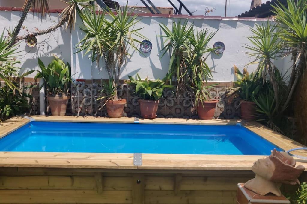 Virgen Bien Aparecida - Entire House Villaer *