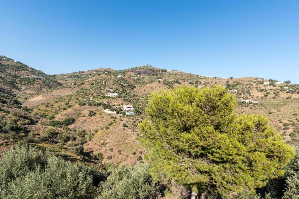 Felicidad Sayalonga Rural Feriehus Málaga