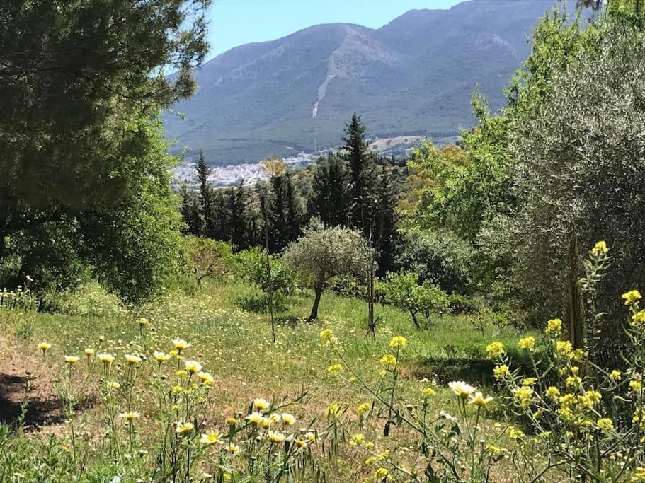 Lägenhet Penthouse Apartment, Cortijo Fruitful Hills *