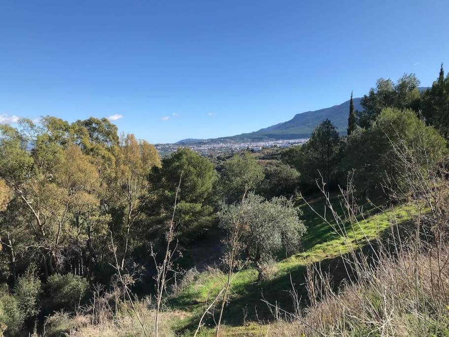 Apartment Penthouse Apartment, Cortijo Fruitful Hills Málaga