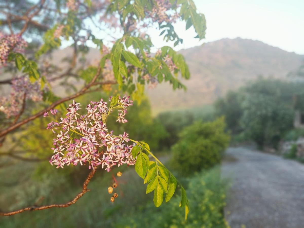 El Cortijuelo De Zalea Сasa de vacaciones Málaga