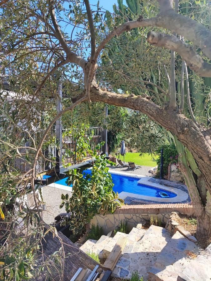 Penthouse Apartment, Cortijo Fruitful Hills Lägenhet *