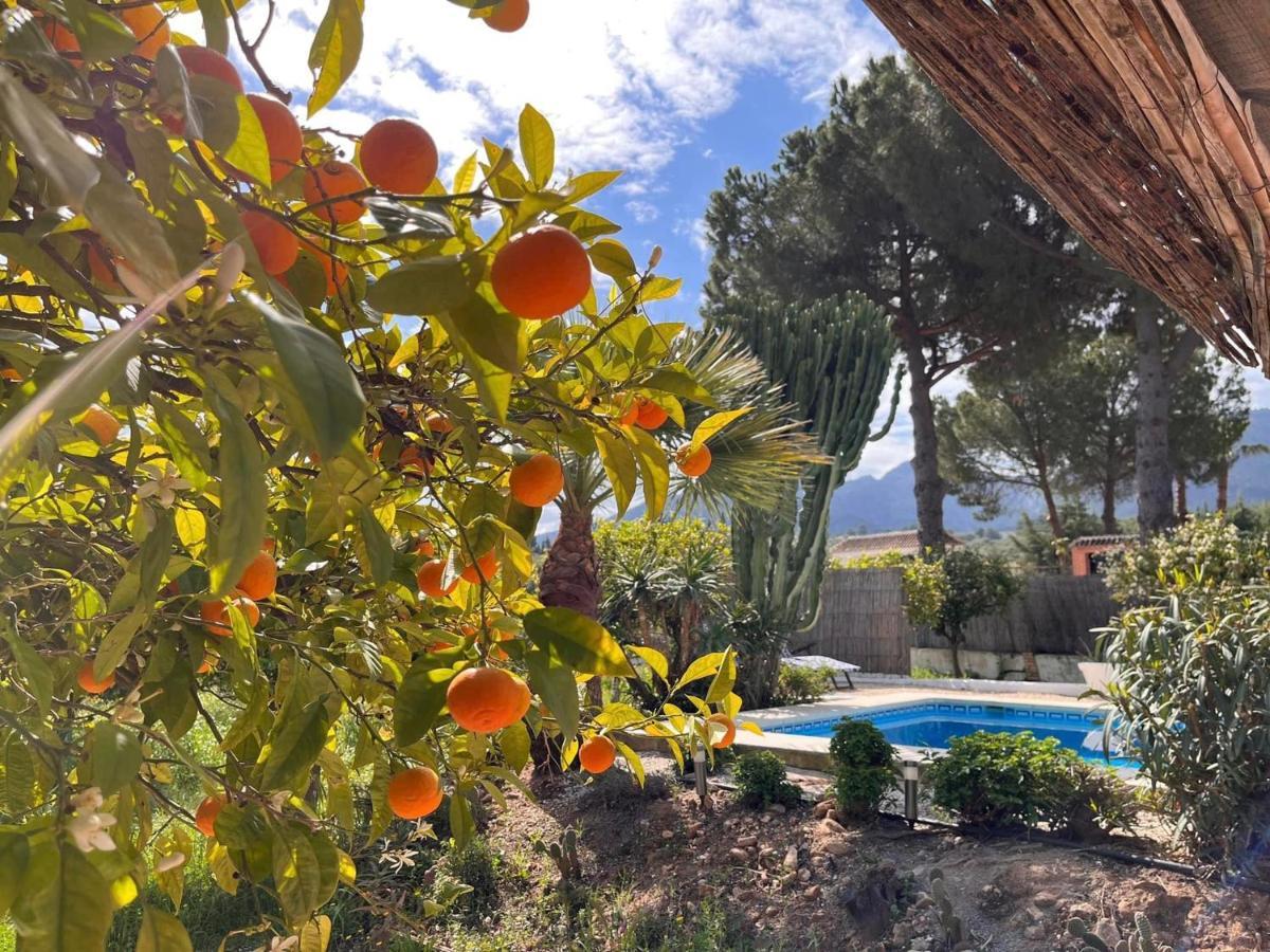 Casa Pipa Alhaurin El Grande - Vrijstaande Casita Met Prive Zwembad En Grote Tuin Málaga