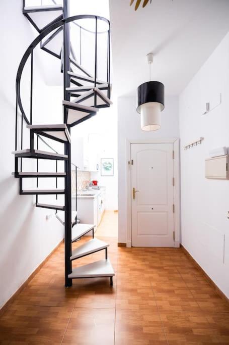 Apartamento Shiny Alamos Super Family