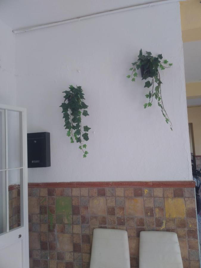 Precioso Moderno Cerca Del Carrefour Rosaleda * Málaga