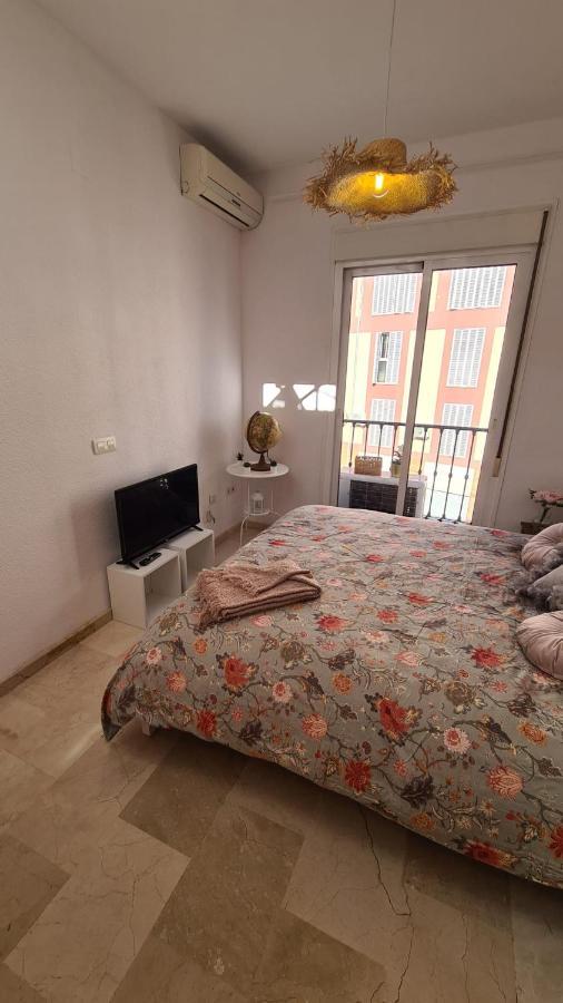 Penthouse With Solarium In The Center Of Malaga-atico Con Solarium En El Centro De Málaga