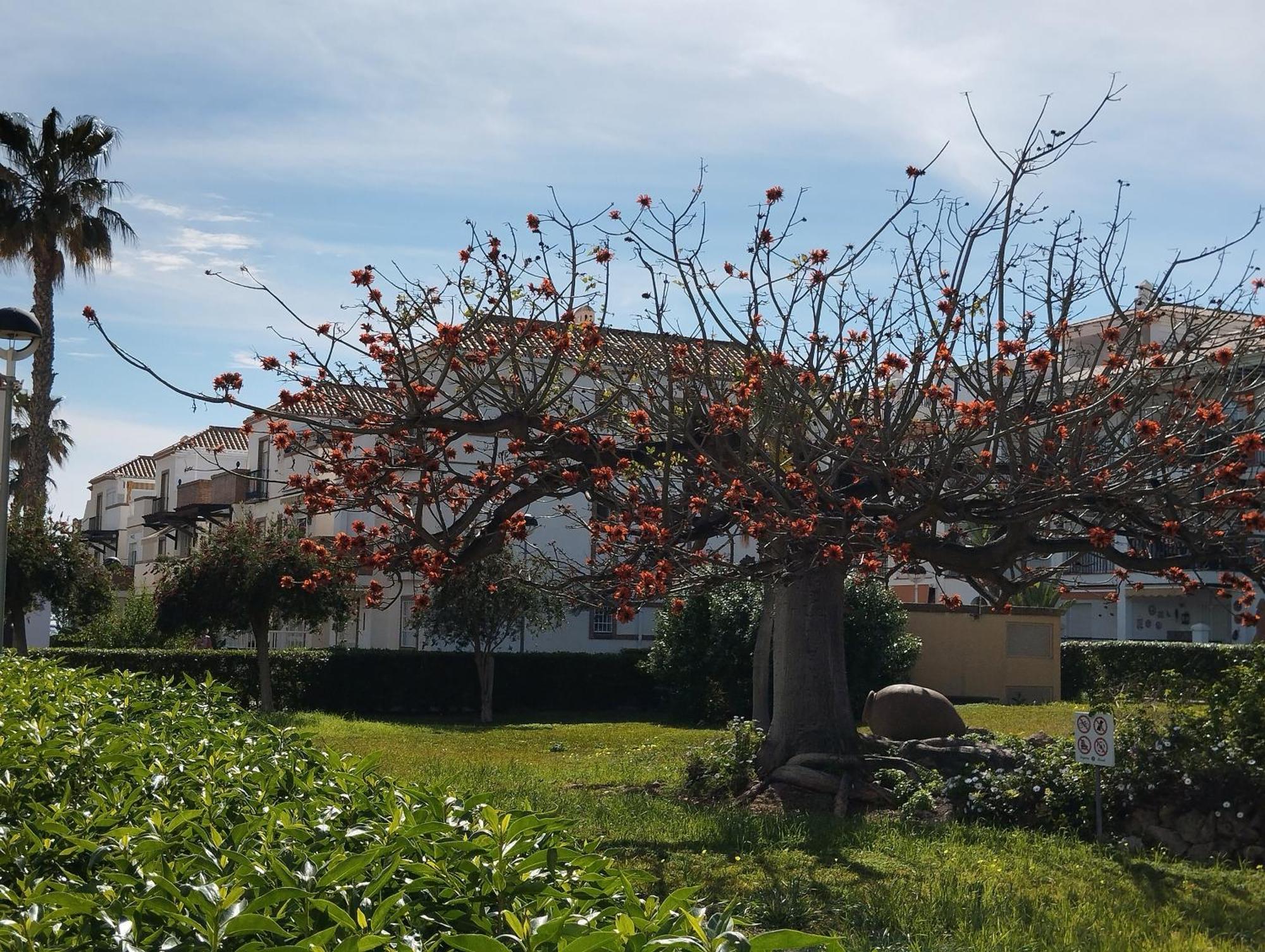 Apartamento Amanecer Laguna Torrox Costa