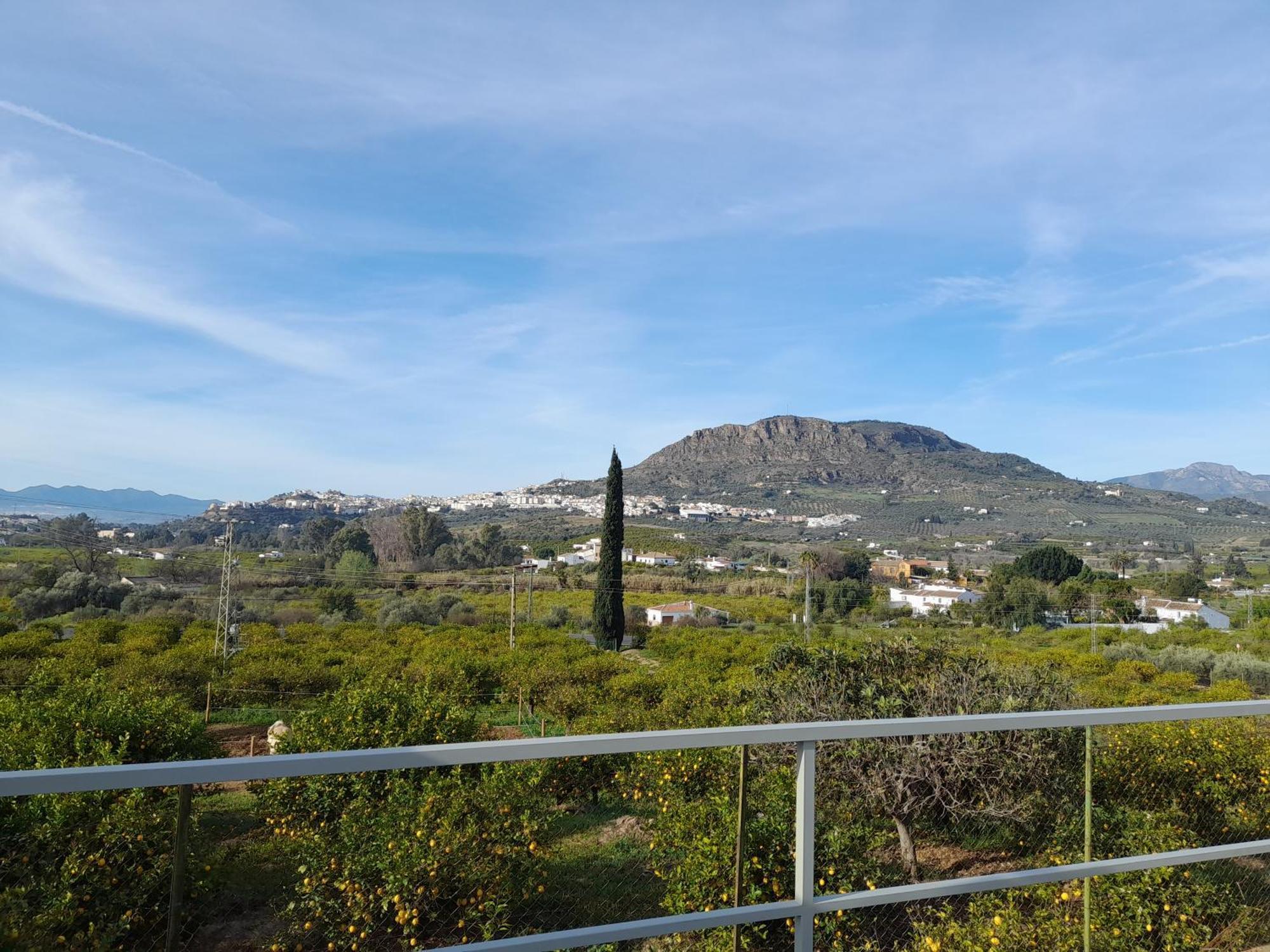 Casita Alonso, Piscina Privada Ferienhaus Málaga