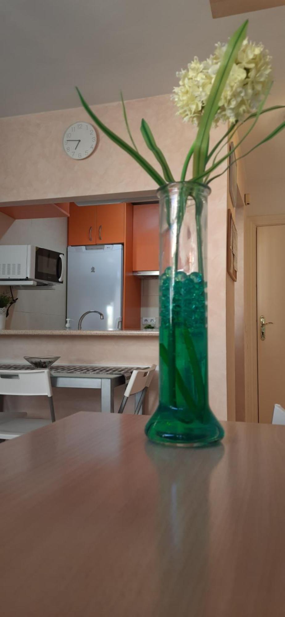 Centrico Y Acogedor Estudio Apartamento Málaga