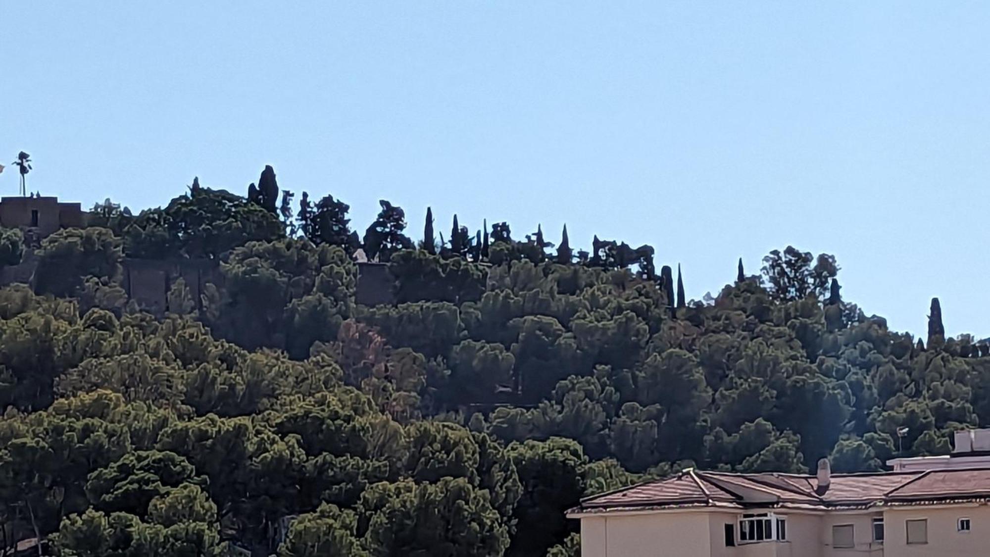 Hotel Victoria Malaga
