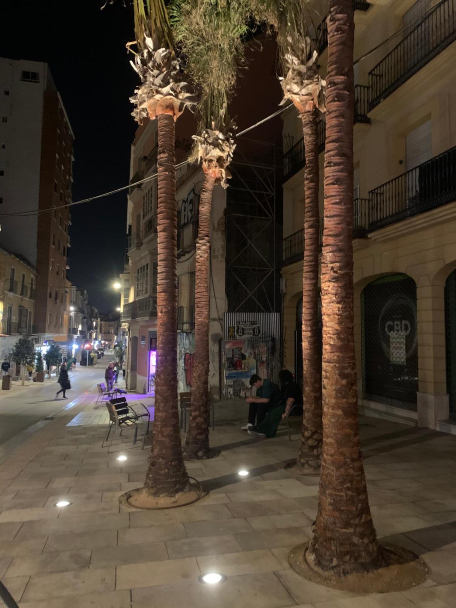 La Gitana Y El Rey Sol Apartment