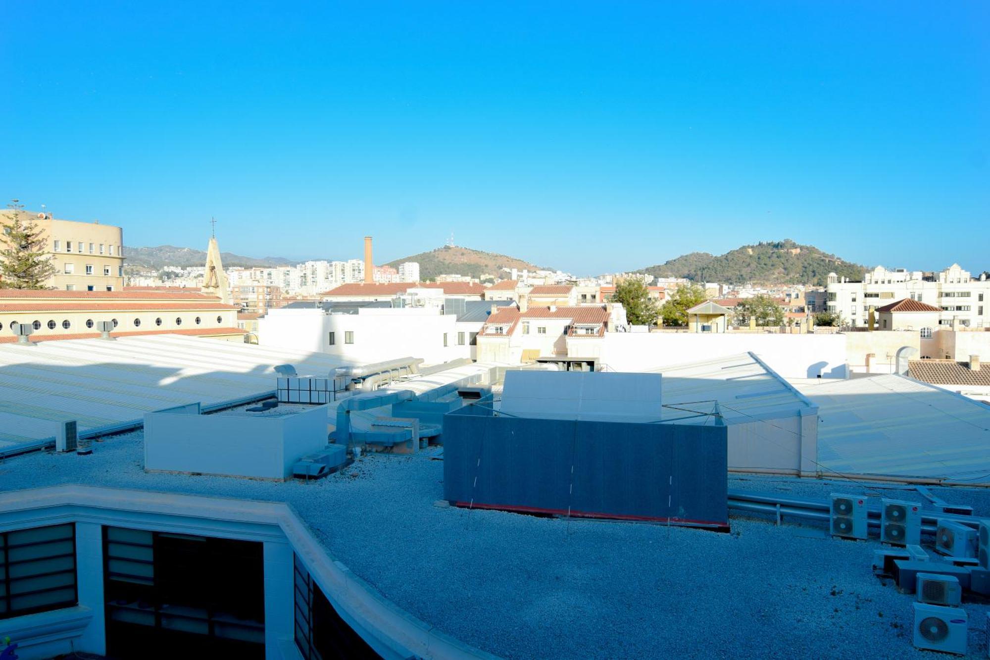 Letmalaga Malasana Premium