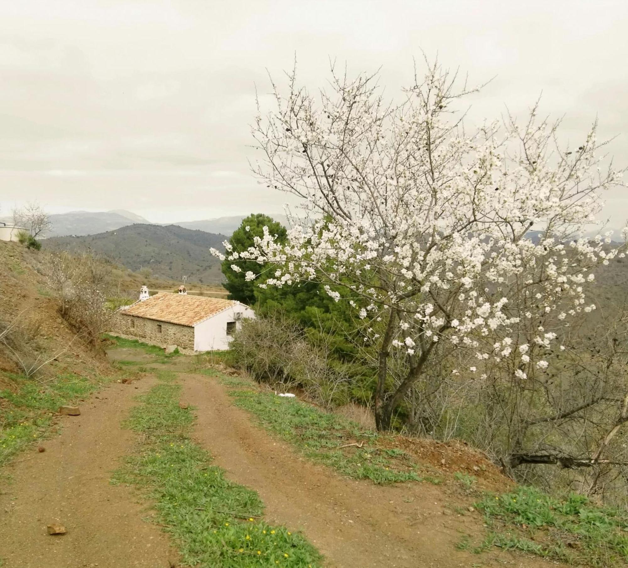 Pinar El Almendra Casa de férias *